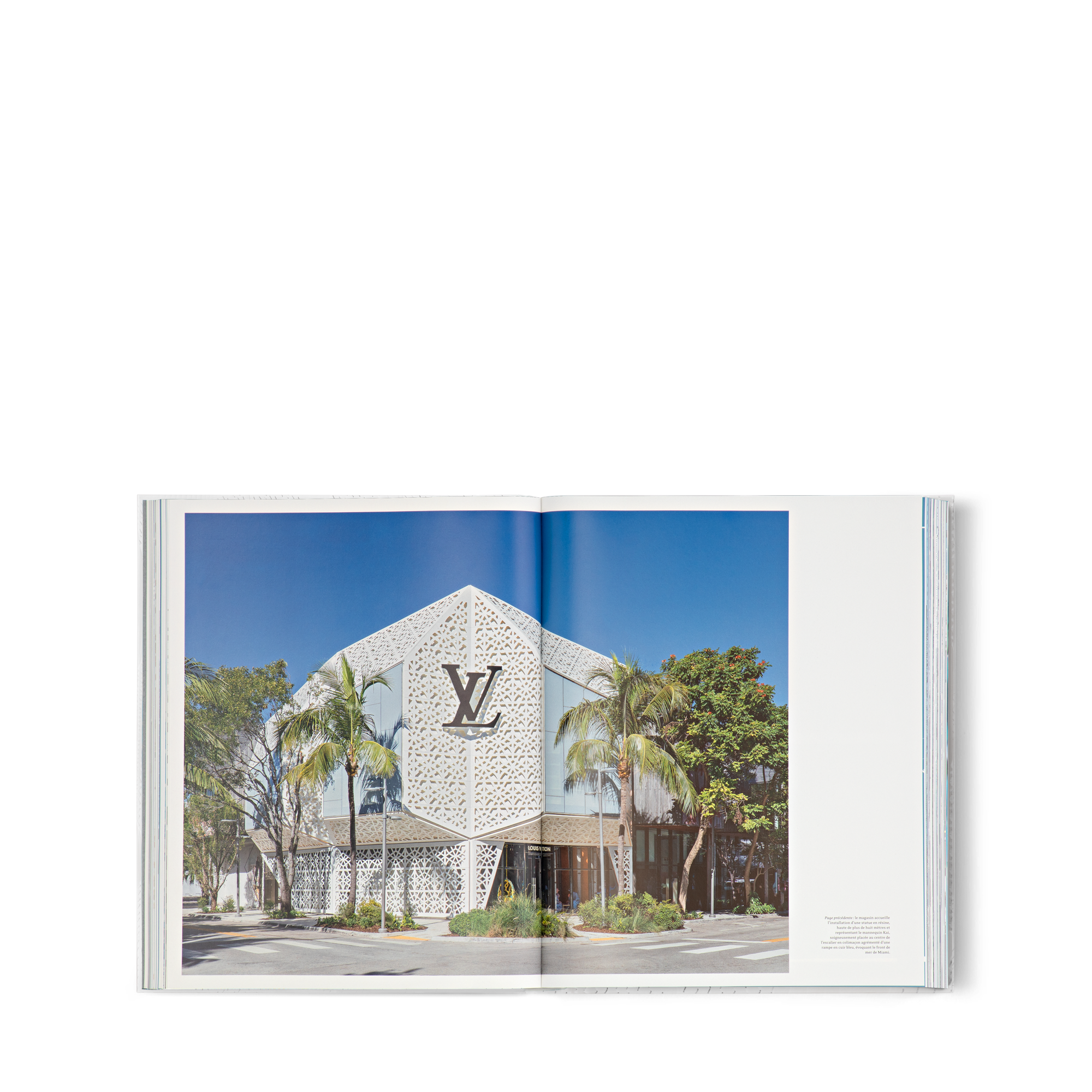 Library Hard Cover Books Louis Vuitton Skin: Architecture of Luxury NYC | Louis Vuitton ® (Product zoom)